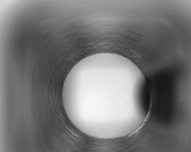 X0000059060186200510212036