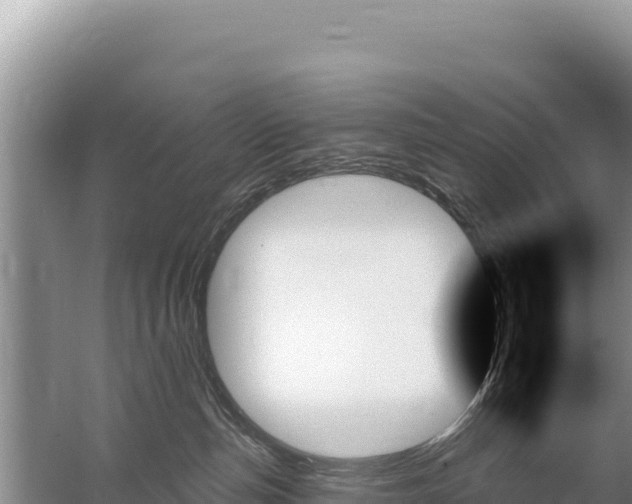 X0000059060187200510212036