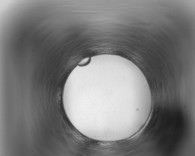 X0000059060190200510212036