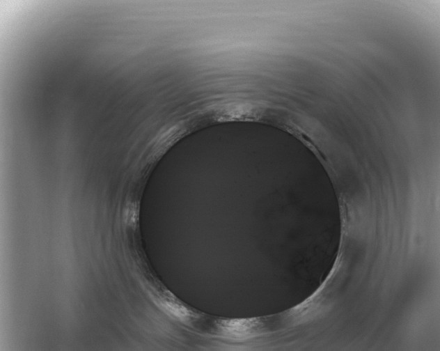 X0000059060191200510212036