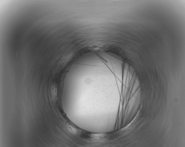 X0000059060192200510212036