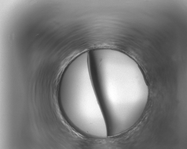 X0000059060193200510212036