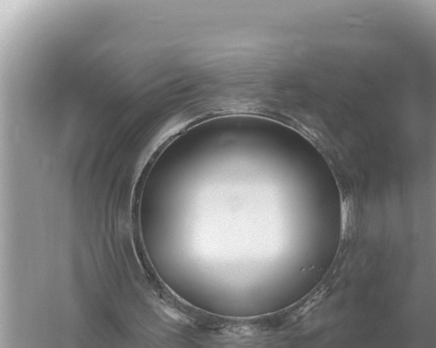 X0000059060195200510212036