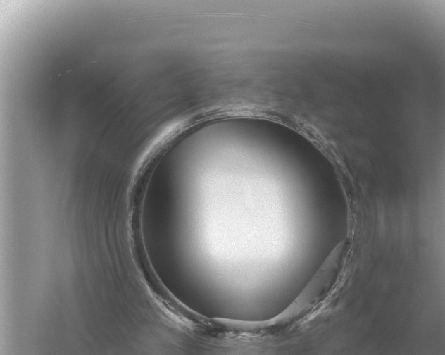 X0000059060197200510212036