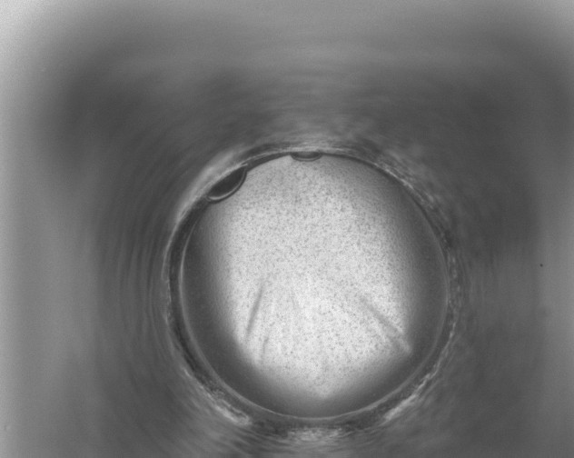 X0000059060198200510212036