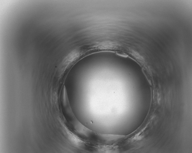 X0000059060201200510212035