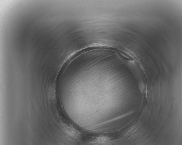 X0000059060204200510212035