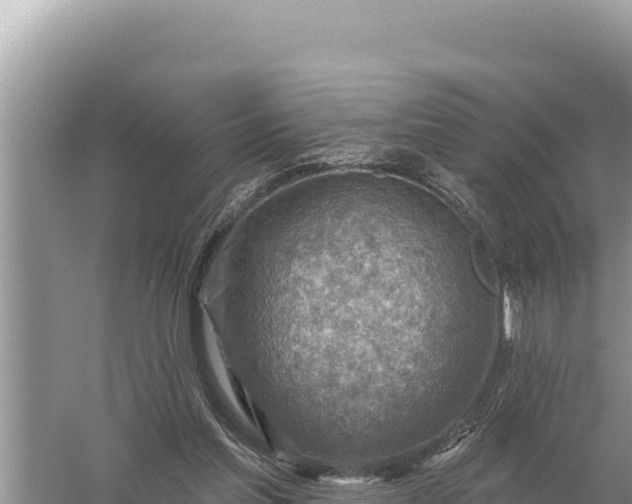 X0000059060205200510212035