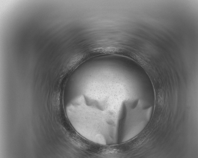 X0000059060206200510212035