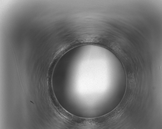 X0000059060207200510212035