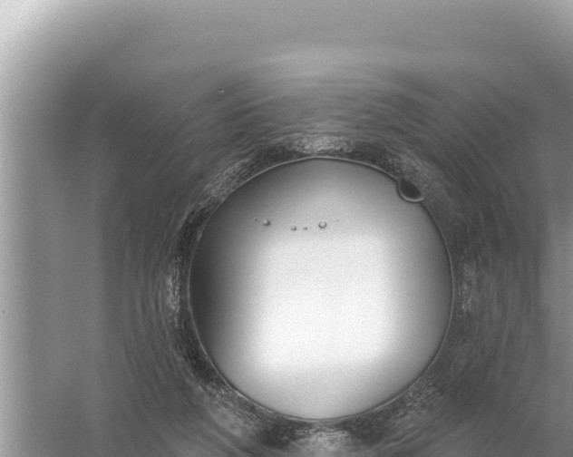 X0000059060210200510212035