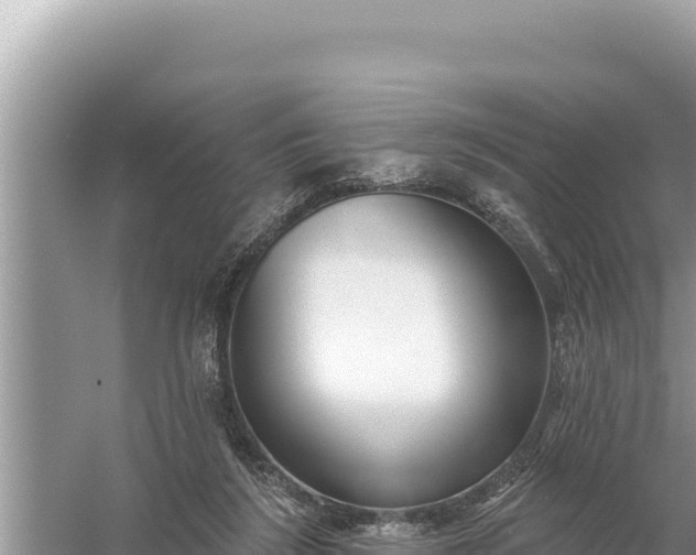 X0000059060212200510212035