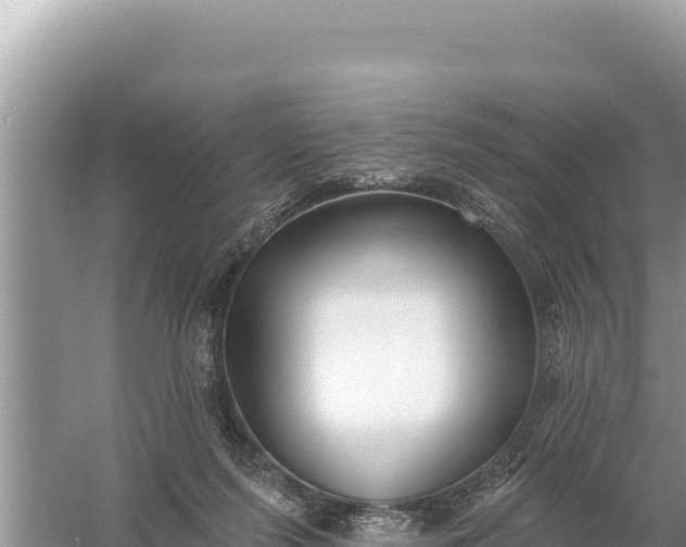 X0000059060215200510212035