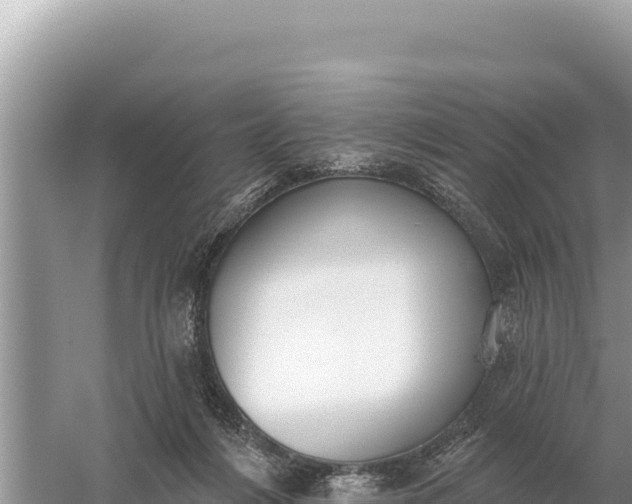 X0000059060216200510212035