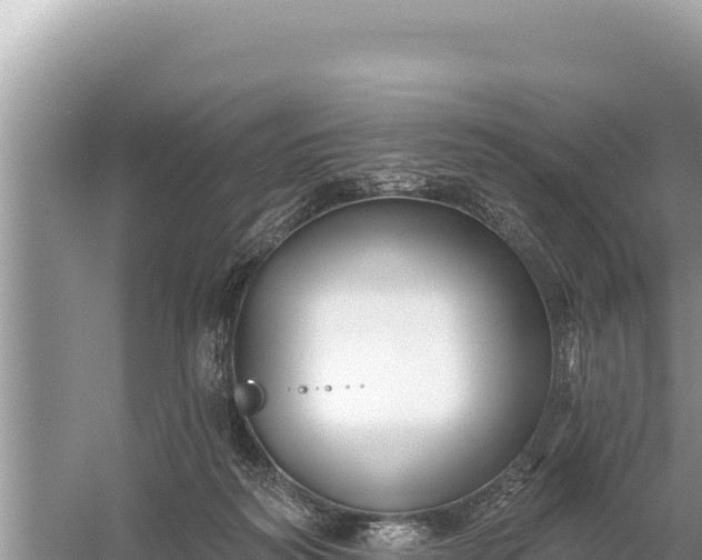 X0000059060218200510212035