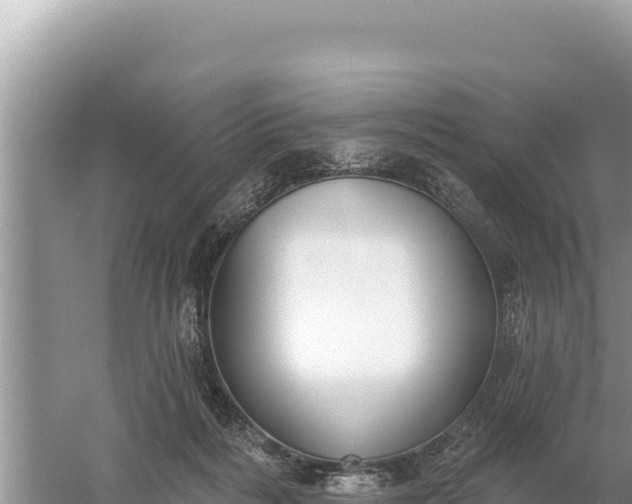 X0000059060220200510212035