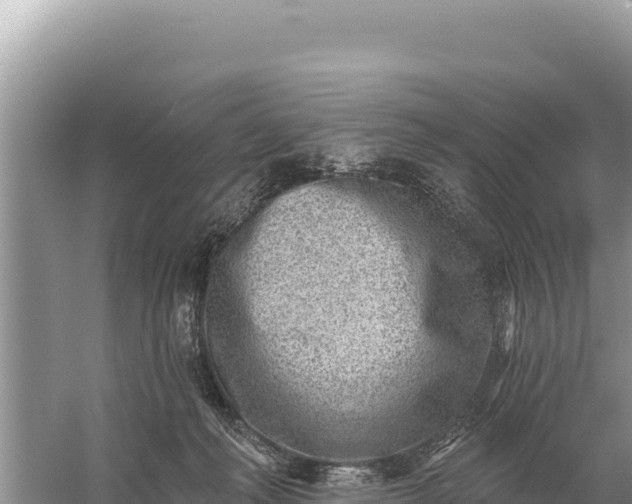 X0000059060222200510212035