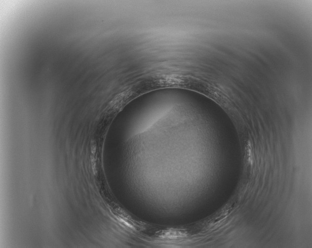 X0000059060223200510212035