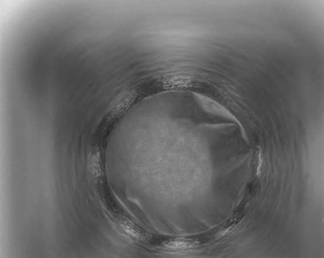 X0000059060224200510212035