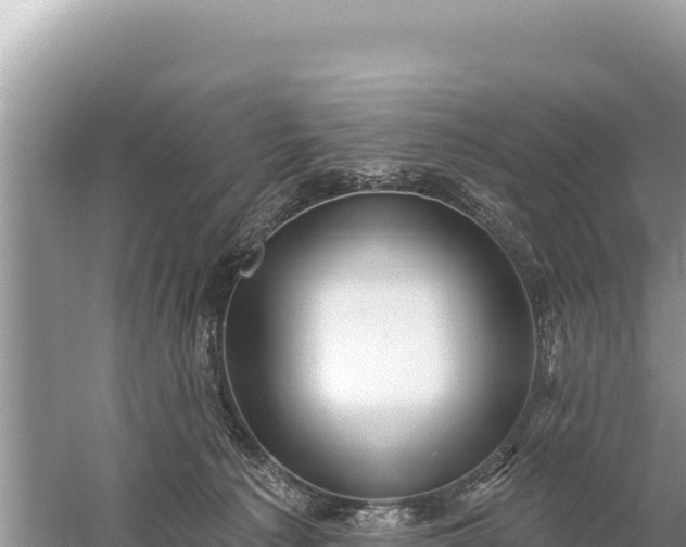 X0000059060225200510212035