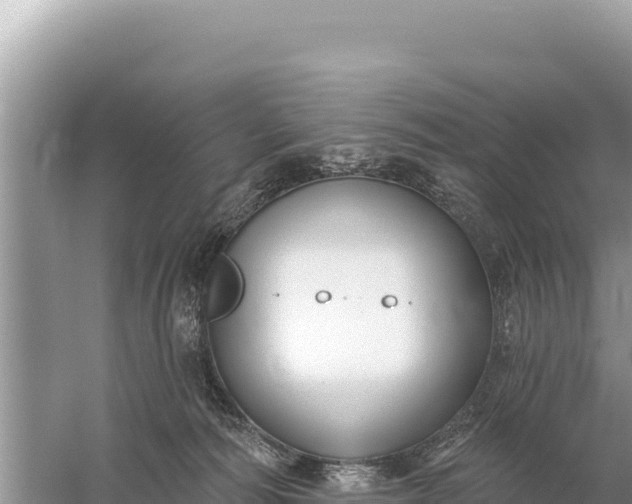 X0000059060226200510212035