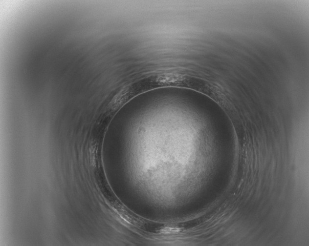 X0000059060227200510212035