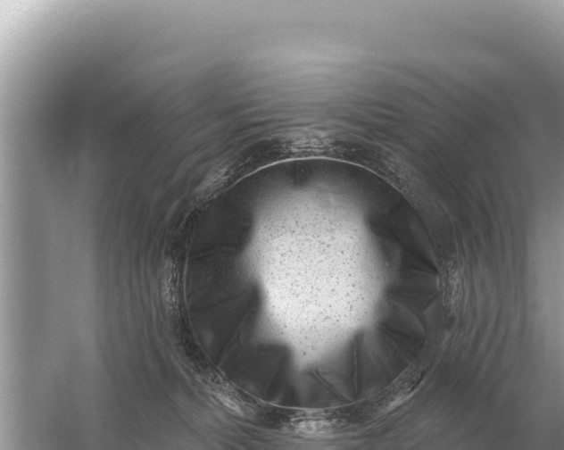 X0000059060228200510212035