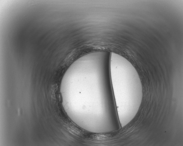 X0000059060229200510212035