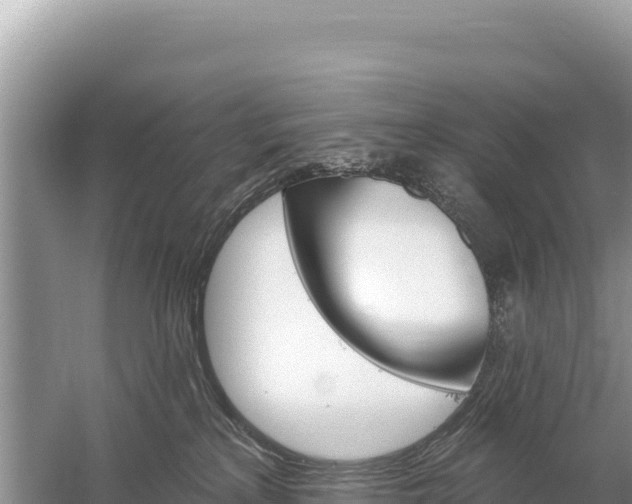 X0000059060233200510212035