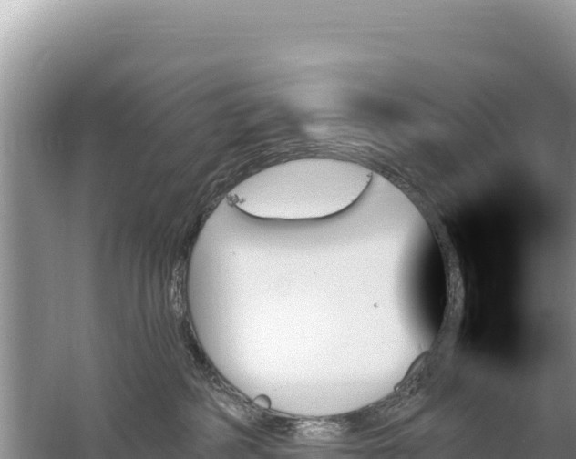 X0000059060234200510212035