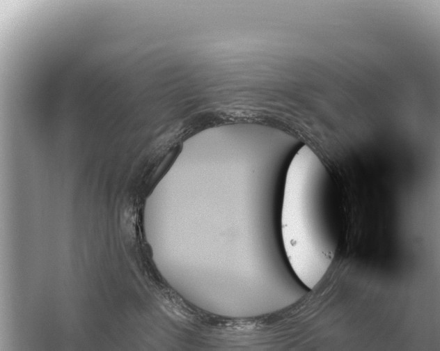 X0000059060235200510212035