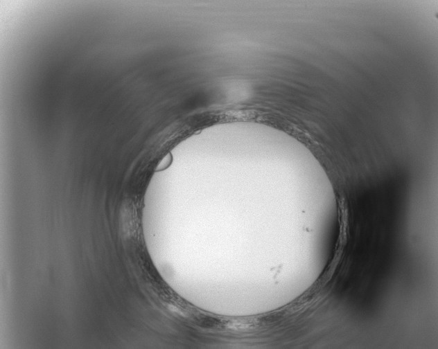 X0000059060236200510212035