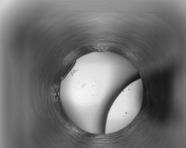 X0000059060237200510212035