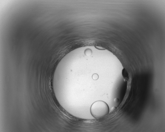 X0000059060238200510212035