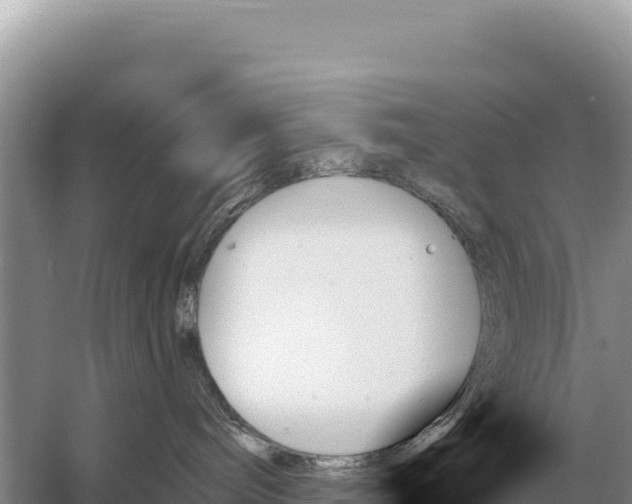 X0000059060240200510212035