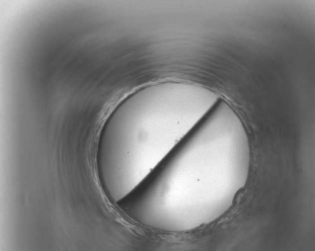 X0000059060241200510212034