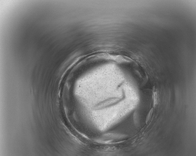 X0000059060243200510212034