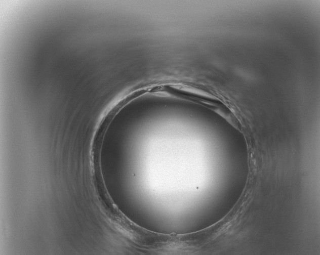 X0000059060246200510212034