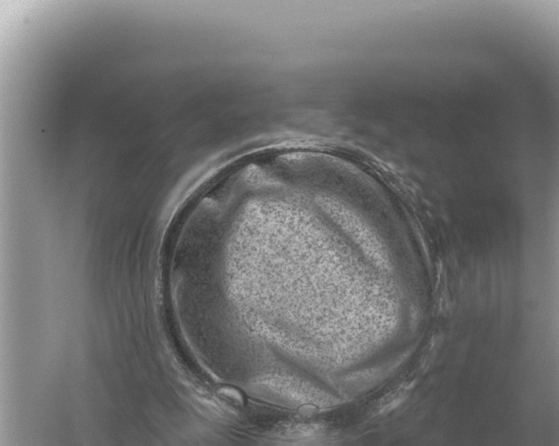 X0000059060247200510212034