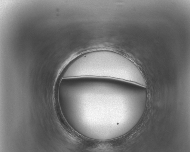 X0000059060248200510212034