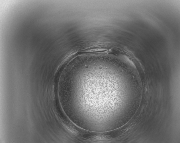 X0000059060250200510212034