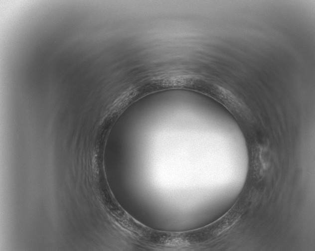 X0000059060258200510212034