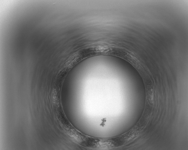 X0000059060270200510212034