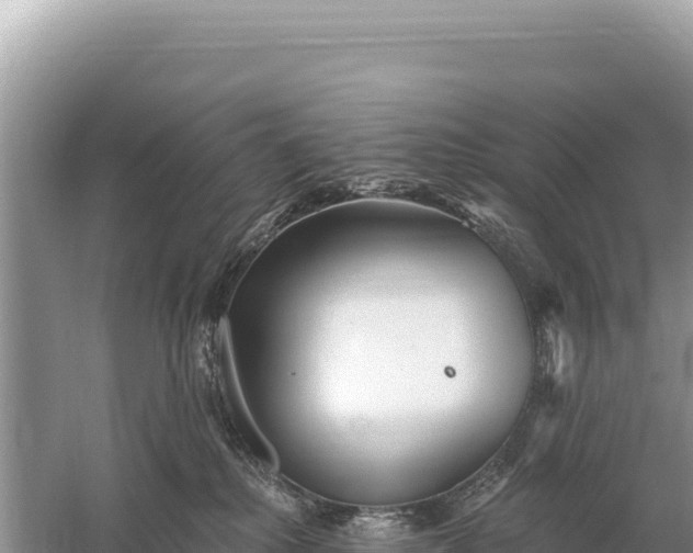 X0000059060280200510212035