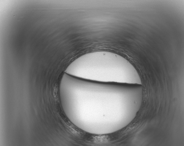 X0000059060281200510212035