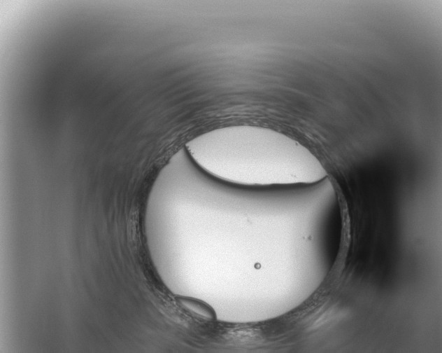 X0000059060283200510212035