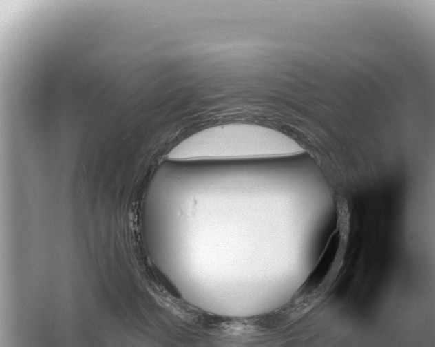 X0000059060284200510212035