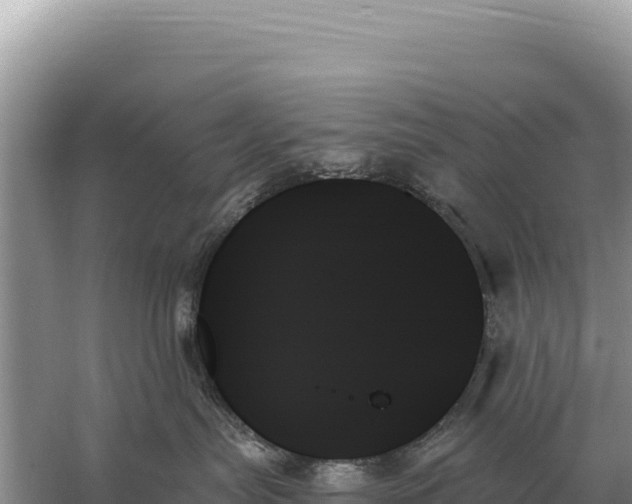 X0000059060287200510212035