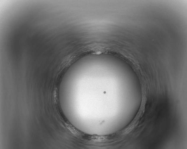 X0000059060288200510212035