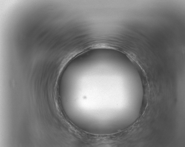 X0000059060289200510212034